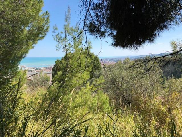 Terreno in vendita di 980 m²