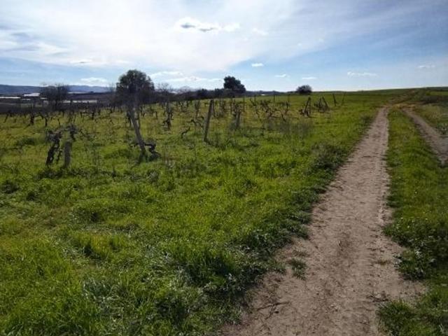 Terreno in vendita di 9820 m² in Contrada Solforato