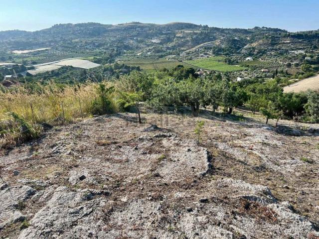 Terreno in vendita di 9831 m²