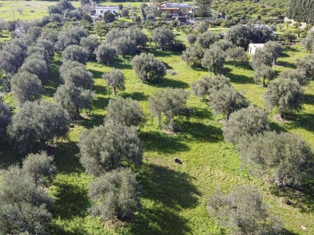 Terreno in vendita di 9940 m² in Via Ricciola, 58