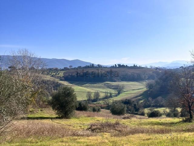 Terreno in vendita di 9950 m² in Via del Colle