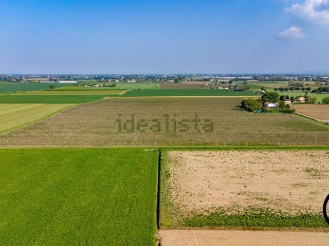 Terreno in vendita di 99120 m² in Via dei Morelli