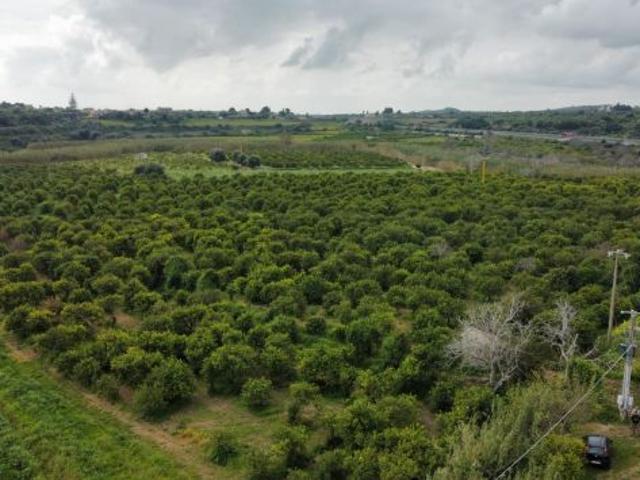 Terreno in vendita in Contrada Fiumara s.n.c Centro, Noto