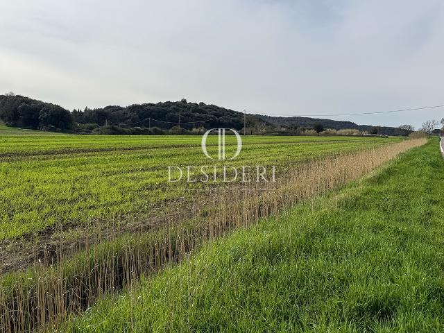 Terreno in vendita in loc. valpiana, Massa Marittima