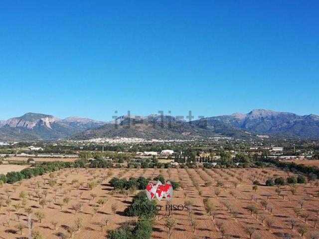 Terreno, Inca