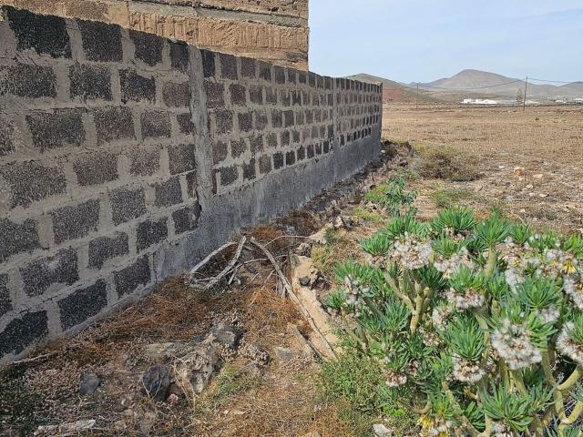 Terreno, Ingenio