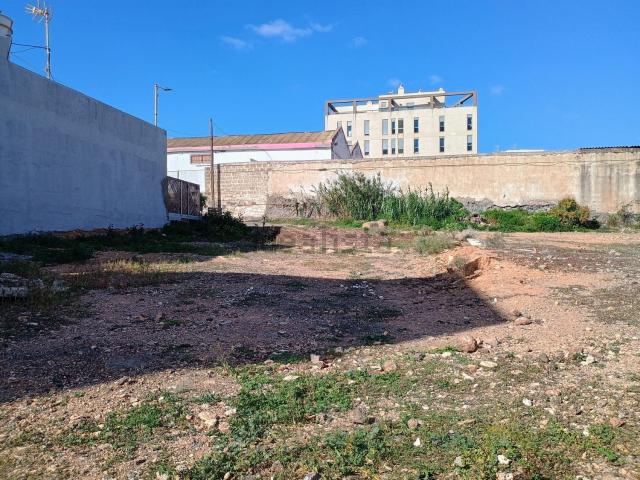 Terreno, Ingenio