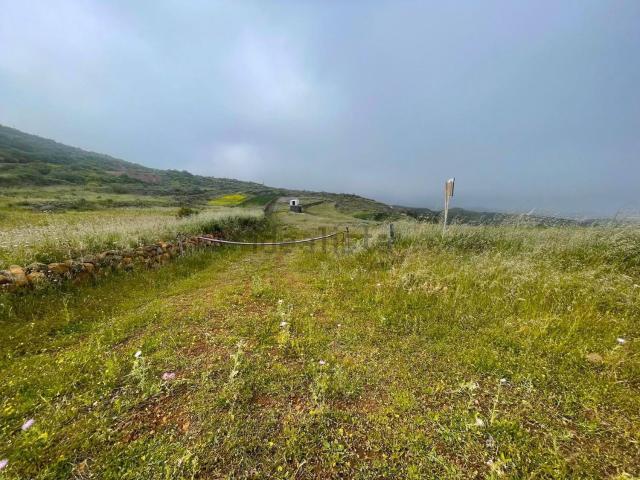 Terreno, Ingenio