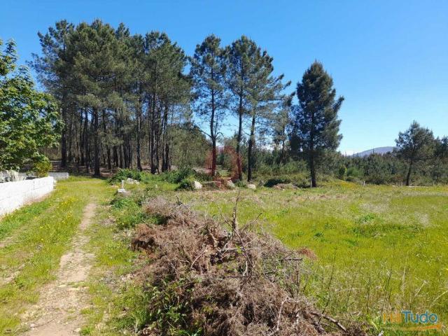 Terreno Industrial | 26083534549