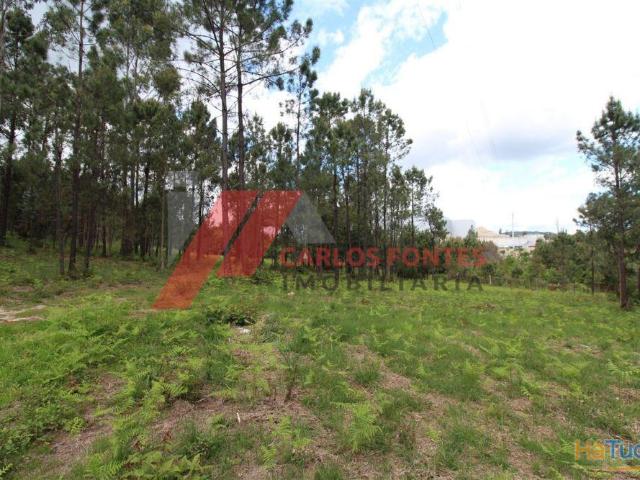 Terreno Industrial. | 26093699312