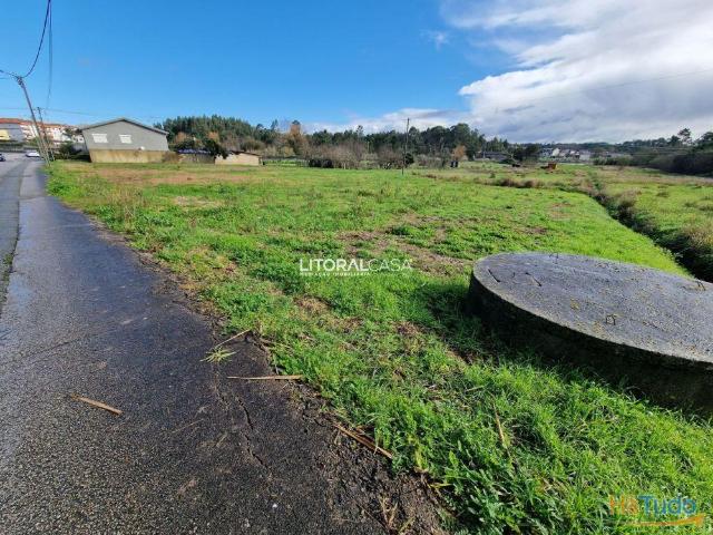 Terreno Industrial 63 metros de frente | 26063469518