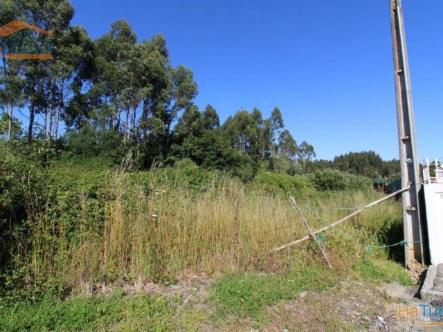 Terreno Industrial com 13.000 m2 para a construção de armazém | 26083032466