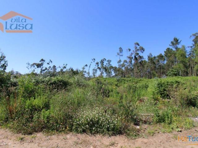 Terreno Industrial com 7400 m2 para a construção de armazém | 26073032467
