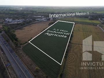 Terreno industrial Agricola, 7.5 has carretera Guamuchil Angostura