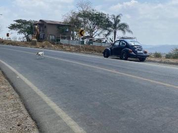 Terreno industrial alto impacto venta 59.347 M2 Vía a Daule 5160