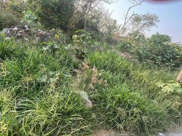 TERRENO INDUSTRIAL DE 11,000 mts2