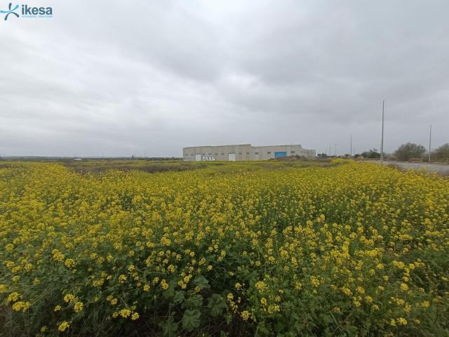 Terreno industrial de 4.096 metros
