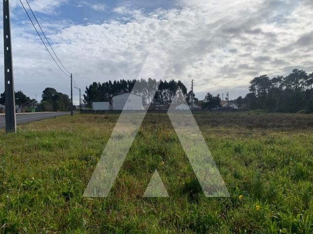 Terreno Industrial em Amieirinha, Marinha Grande