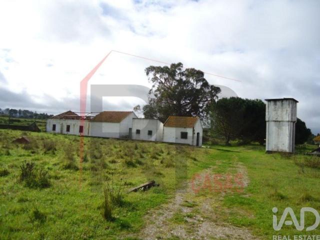 Terreno industrial em Quinta do Anjo