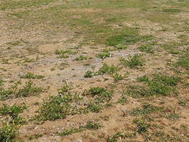 Terreno industrial en Alquiler en Polinyà