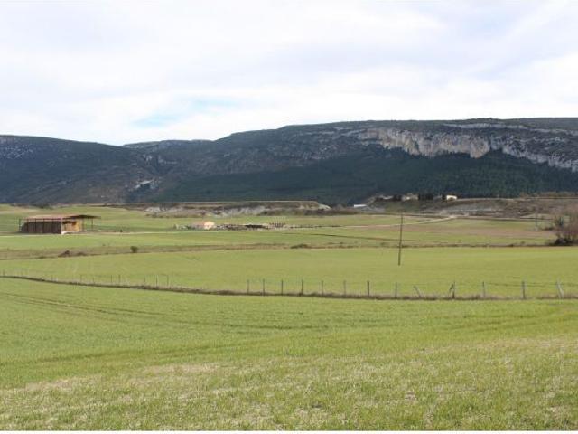 TERRENO INDUSTRIAL EN LUMBIER