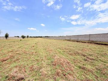 Terreno Industrial en Renta Parque Industrial Chachapa 50,000 m2