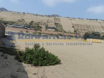 TERRENO INDUSTRIAL EN VENTA DE 21,076 M2 CON ZONIFICACION I2 CHANCAY