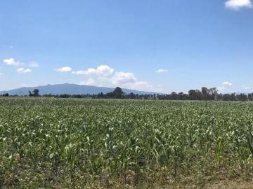 Terreno Industrial en Venta, en Polotitlan, Estado de Mexico