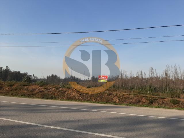 Excelente Terreno para Investimento Industrial