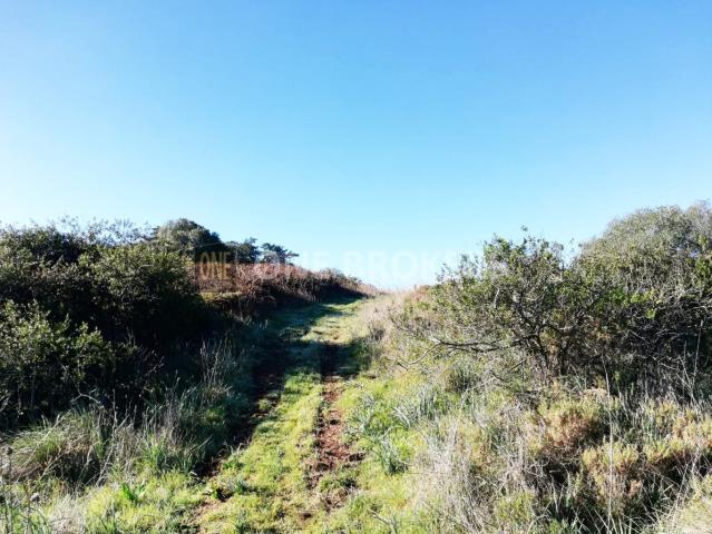 Terreno Industrial no Ral com 18,080 m2