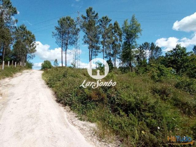 Terreno industrial para construção | 26084096504