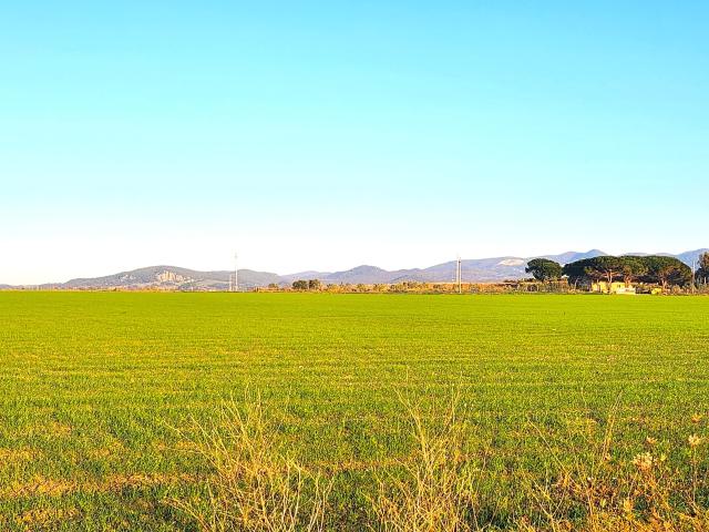 Terreno Industriale in vendita a Tarquinia