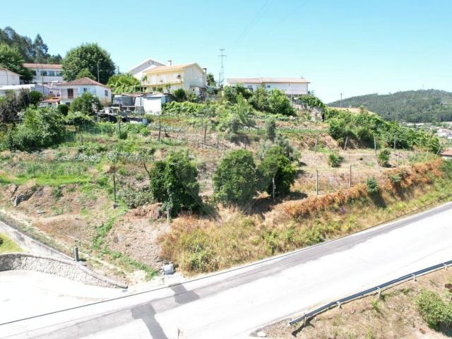 Terreno, Infantas