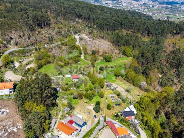 Terreno, Infantas