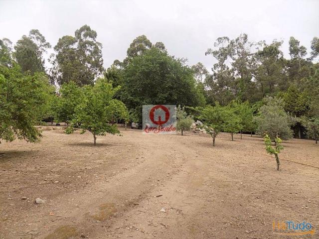 Terreno inserido em zona verde c/ 9200m2 em Cruz, Vila Nova de Famalicão | 26070866800