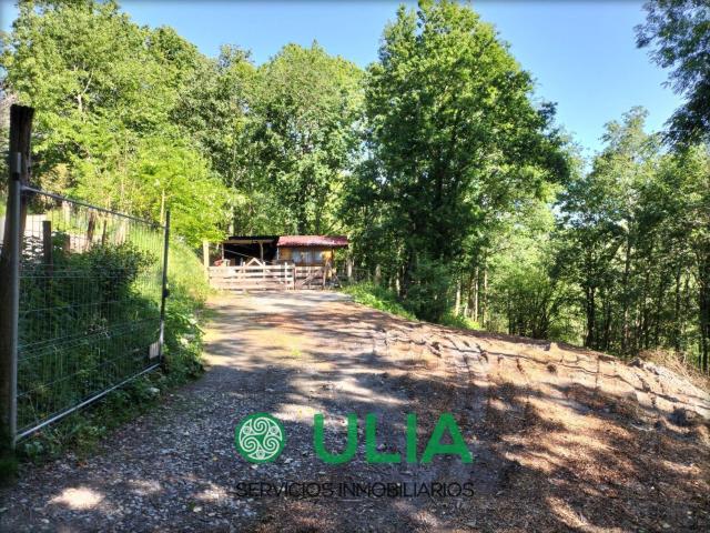 Terreno, Irun
