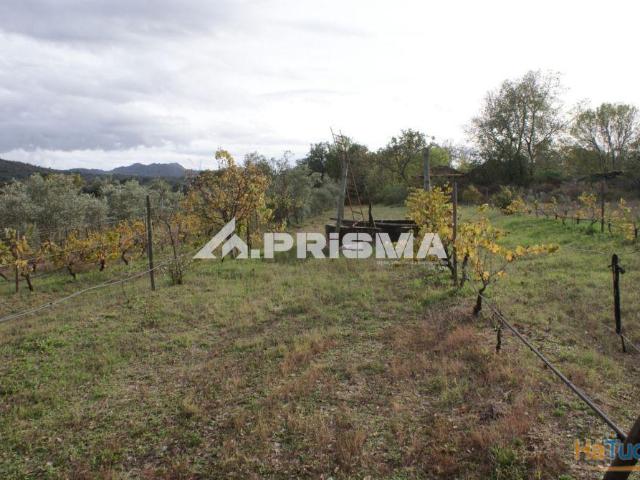 Terreno Isolado para vender em Aranhas, Penamacor | 26083723242