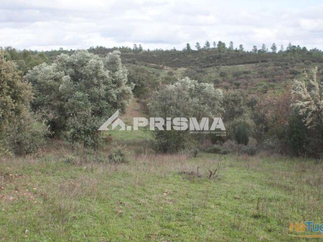 Terreno isolado para vender em Penamacor | 26083723239