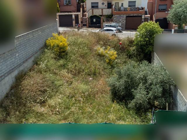 Terreno, Jun