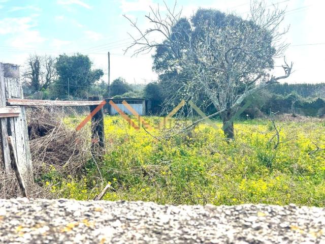 Terreno, Junqueira