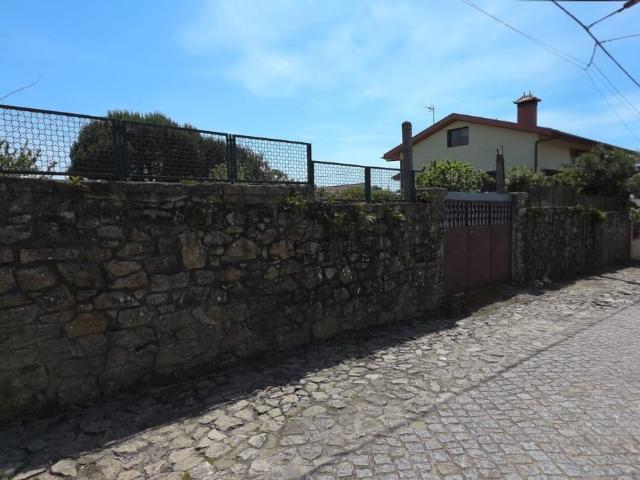 Terreno, Junqueira