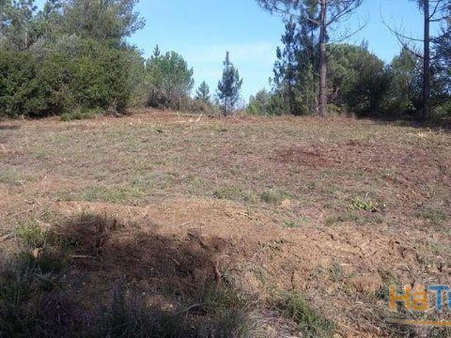 Terreno junto à Cidade T2422/19 | 26063252780