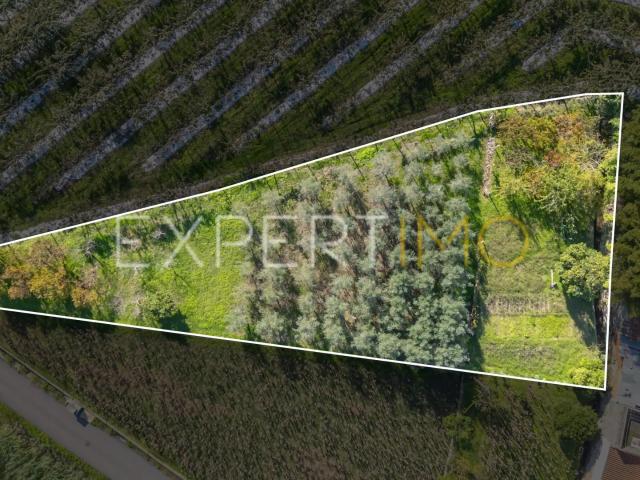 Terreno junto a Ribeiro em Quinta do Colaço Almalaguês/Coimbra