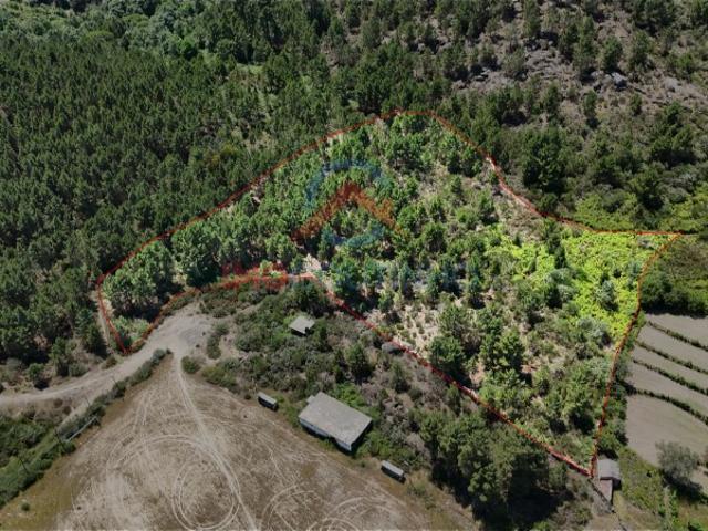 Terreno junto ao Campo de Vila Marim