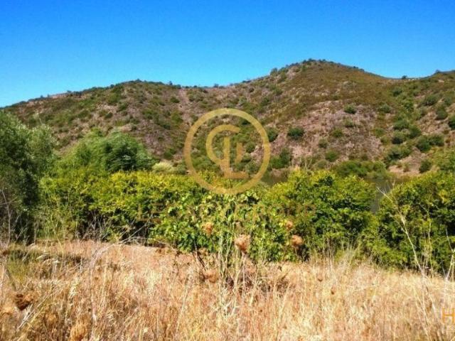 Terreno junto ao Guadiana Alcoutim | 26084008296
