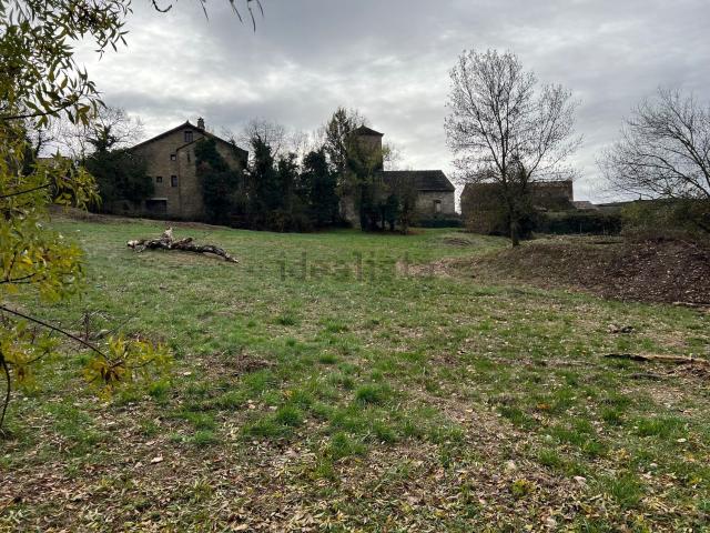 Terreno, Jaca