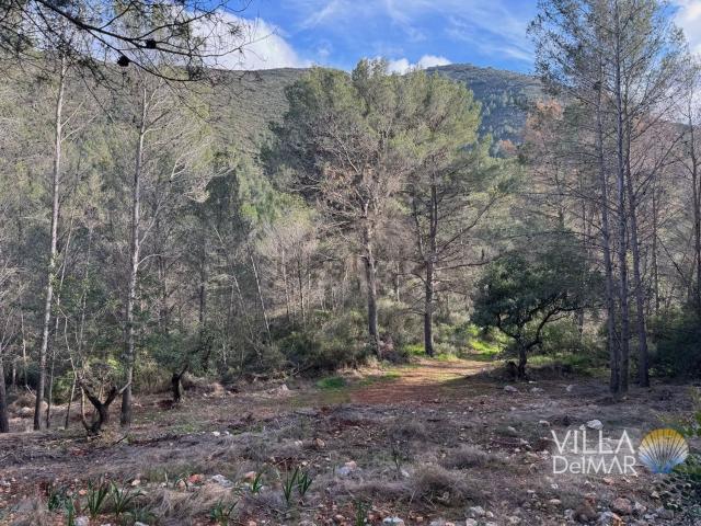 Terreno, Jalón
