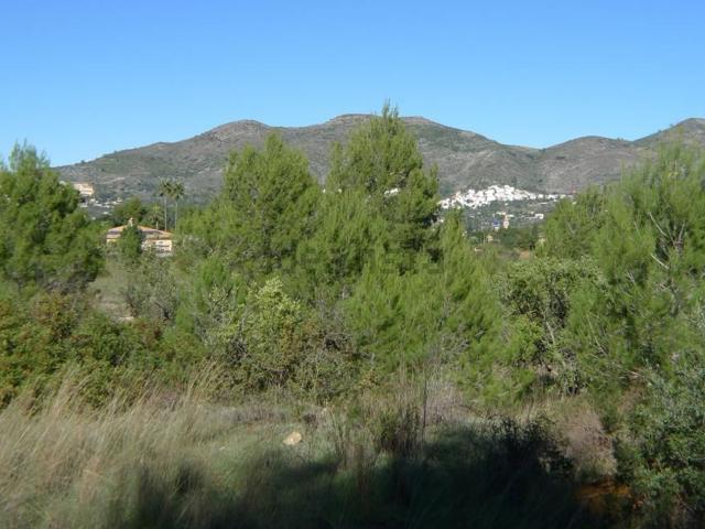 Terreno, Jalón
