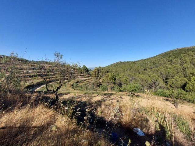 Terreno, Jalón