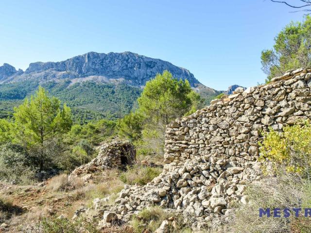 Terreno, Jalón